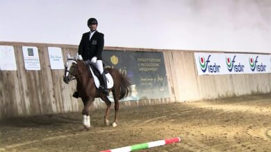Photo of Sport equestri e integrazione: agonismo e sorrisi all’Ippopark/Palahorse di Golfo Aranci per il 13° Campionato sardo di equitazione Fisdir