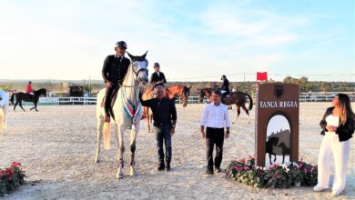 Photo of Salto Ostacoli: doppietta padre e figlia Chimirri al Sardegna Jumping Tour di Tanca Regia