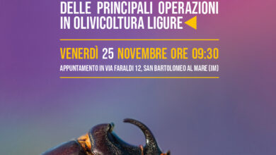 Photo of SINOL, venerdì la prova in campo del macchinario applicato al mezzo cingolato