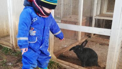 Photo of Agri-nido e asilo, a scuola in campagna. Cia Puglia: “Si alla nuova legge”