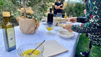 Photo of Scopriamo l’Olio con il nostro pane, eccellenze al Parco di Porto Conte: grande riscontro
