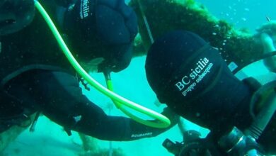 Photo of Agrigento: “Un mare di sorprese”, incontro scientifico promosso da BCsicilia