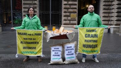 Photo of Greenpeace porta in dono al Ministero dell’Agricoltura un cesto natalizio pieno di pane di grano tenero altrimenti destinato a diventare mangime per gli allevamenti intensivi.