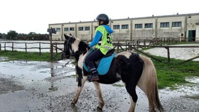 Photo of Endurance: Rebecca Cuccuru vince il campionato sardo Pony dedicato a Martina Berluti