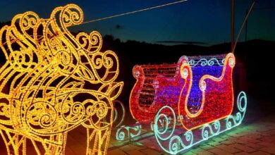 Photo of Celle di San Vito, il Natale più luminoso nel paese più piccolo della Puglia