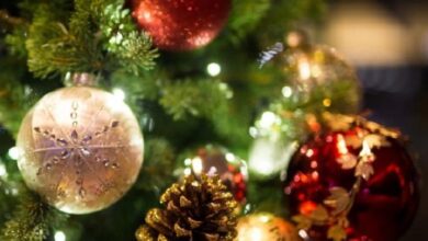 Photo of Genova Aspettando il Natale dicembre 2022,