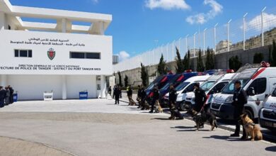 Photo of Speed RoadPol: campagna sino al 23 aprile