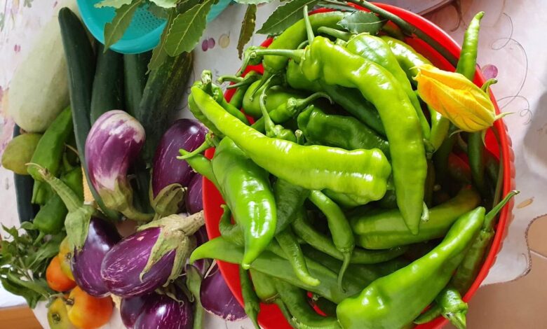 Dieta Flexitariana, caratteristiche e schema alimentare