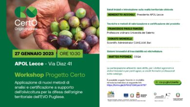 Photo of Lecce, progetto Certo: innovazione e tecnologie per l’olivicoltura salentina e pugliese