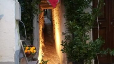 Photo of San Valentino a Vico: il suo trono incorniciato da centinaia di arance