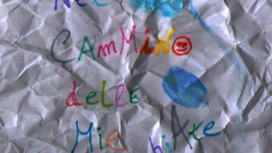 Photo of ANDREA GIOE’ – “Nel cammino delle mie minchiate”