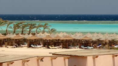Photo of Marsa Alam: tra mare, coralli e tanto svago