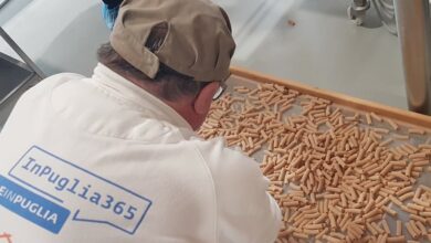 Photo of Foggia, le organizzazioni alla CCIAA: “Nel listino cereali la semola 100% italiana”