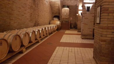 Photo of Settimo San Pietro: 5 febbraio, Suoni Divini