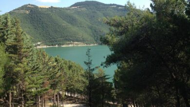 Photo of Carlantino ha la sua Pro Loco: 50 soci e un programma ambizioso