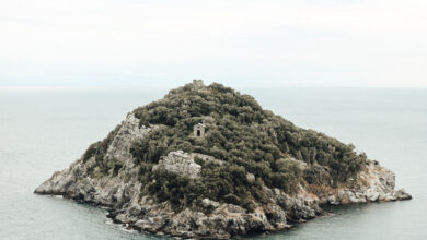 Photo of Vetrine d’artista dedicate alla fotografa Chiara Vallarino di Savona