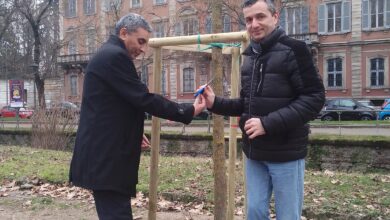 Photo of Inaugurato l’albero in memoria del cittadino marocchino Drissi Moussafir