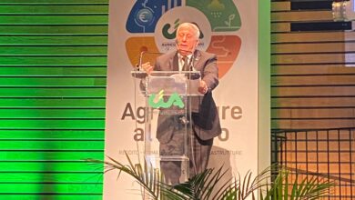 Photo of Agricoltura, a Roma la Puglia al centro della Conferenza Economica CIA