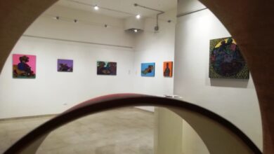 Photo of Successo per “#lobassoteksture. Il sogno è la realtà”, [VIDEO] la personale di Nunzio Lobasso che a Foggia fa la differenza