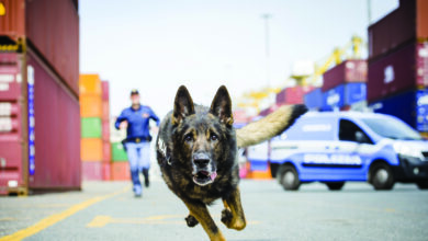 Photo of Polizia di Stato: Al Servizio del Paese, un progetto