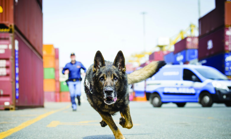 Polizia di Stato: Al Servizio del Paese, un progetto