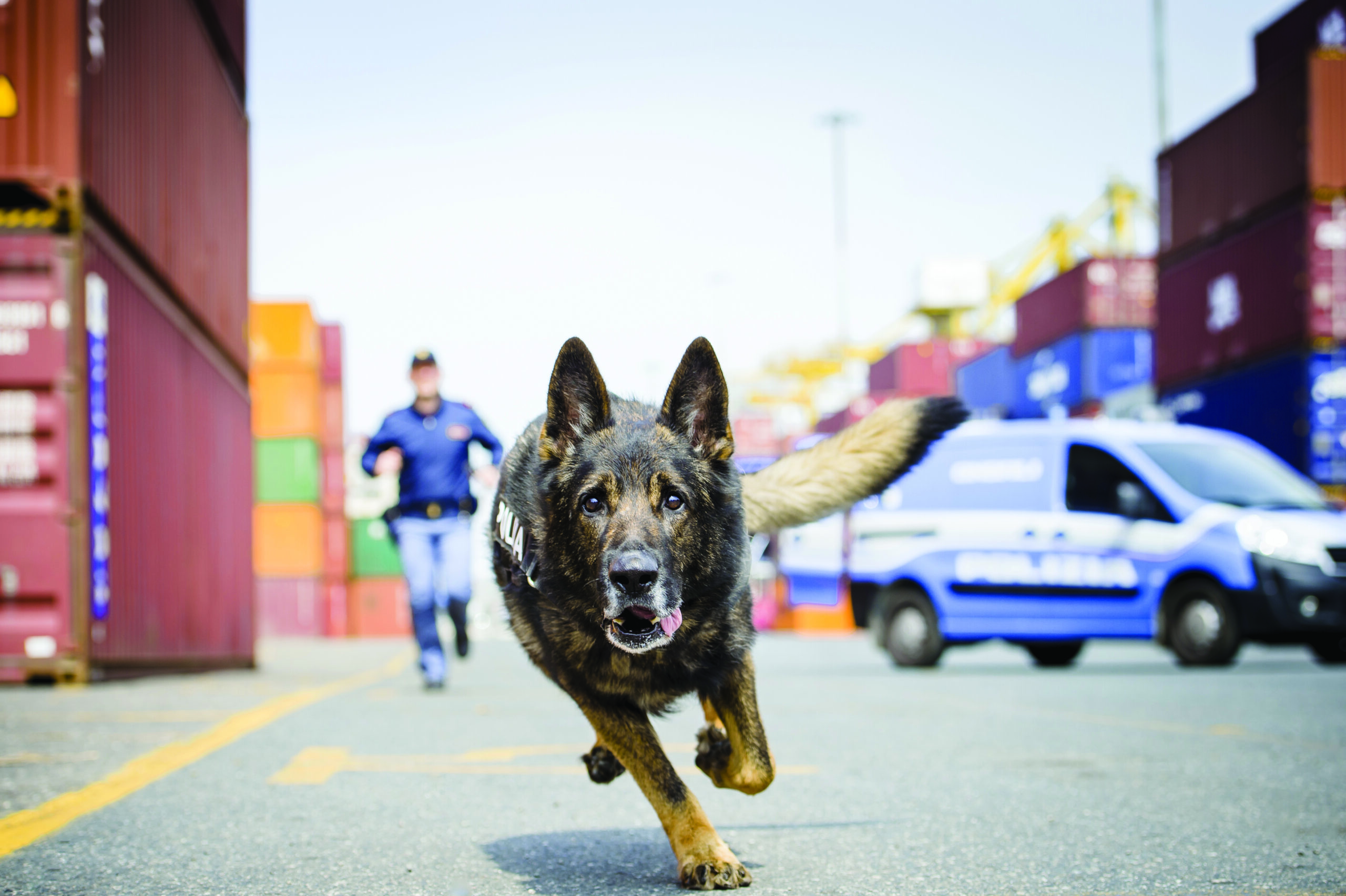 Polizia di Stato: Al Servizio del Paese, un progetto