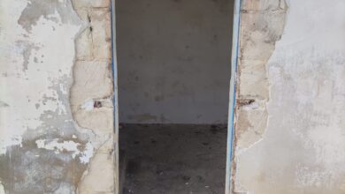 Photo of CIA Levante: “Furti e danneggiamenti nelle campagne di Bitonto e Giovinazzo”