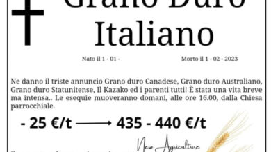 Photo of Foggia: addio grano duro?