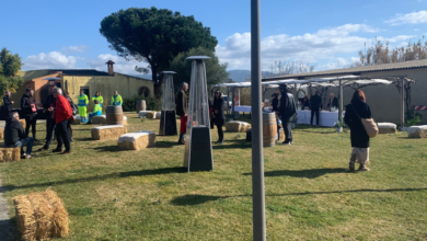 Photo of Folla dei grandi eventi alla cantina Deiana