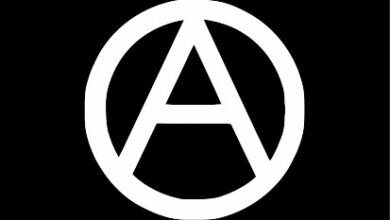 Photo of Torino: caso anarchici