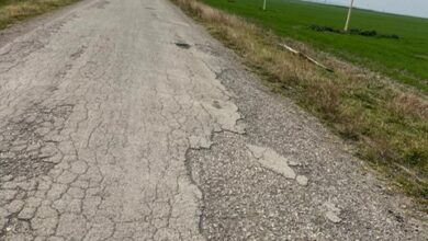 Photo of Angelo Miano (Cia Capitanata): “Strada di Palmori in condizioni disastrose”