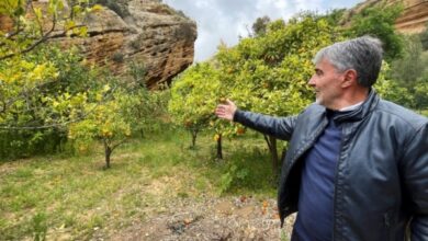 Photo of Svelati ipogei risalenti al 480 a.C ad Agrigento, Capitale della cultura italiana 2025