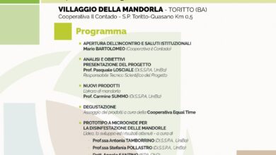 Photo of  TORITTO (BA), RICERCA E INNOVAZIONE PER UNA SECONDA PRIMAVERA DELLA MANDORLICOLTURA PUGLIESE
