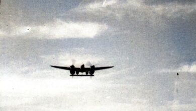 Photo of 80 anni de “Il Piccolo Principe”, entrano nel vivo le celebrazioni