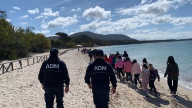 Photo of Ciottoli e sabbia sequestrati, primo ricollocamento a Mugoni dal Parco di Porto Conte