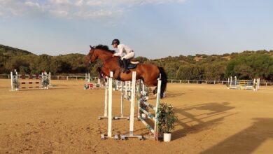 Photo of Golfo Aranci: Salto ostacolo all’Ippopark