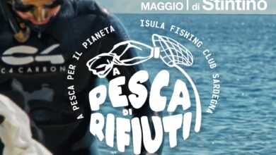 Photo of Comune di Stintino – DOMENICA 14 MAGGIO, A PESCA DI RIFIUTI
