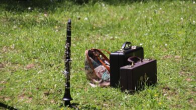 Photo of Suoni d’Umbra stupisce i turisti. Ultimi due concerti in Foresta nel Parco Nazionale del Gargano