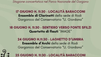 Photo of Quattro concerti in Foresta: parte “Suoni d’Umbra”