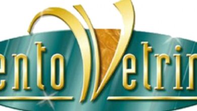 Photo of “Centovetrine ” su Mediaset Infinity