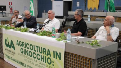 Photo of Cerignola: è allarme vitivinicoltura