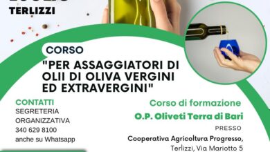Photo of Terlizzi un corso per assaggiatori di olii di oliva vergini ed extravergini