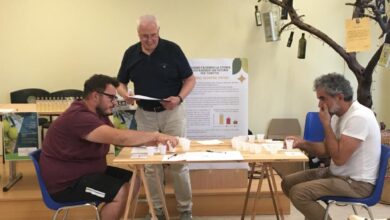 Photo of Torrito: corso assaggiatori olio, un successo