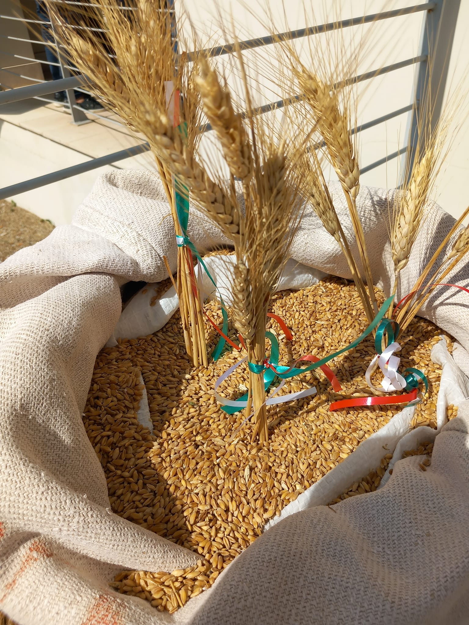 Grano: Sicolo CIA, il 20 luglio a Roma da Lollobrigida