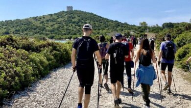 Photo of Alghero: il successo del Parco di Porto Conte