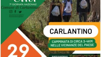 Photo of “Camminata tra gli olivi” a Carlantino