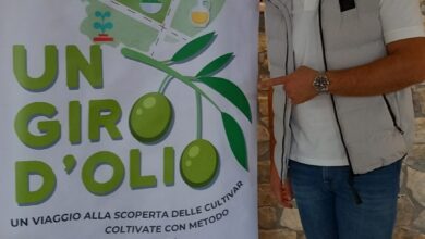 Photo of Apo Foggia, viaggio nella campagna olivicolo-olearia 2023-2024