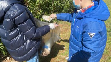 Photo of Sassari Festa dell’Albero Lega Ambiente