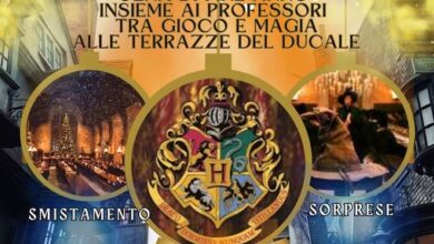 Photo of Natale a Hogwarts: cena insieme a tutti i professori più amati per una serata indimenticabile