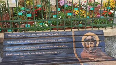 Photo of Ad Alassio un Piccolo Giardino dell’Eden